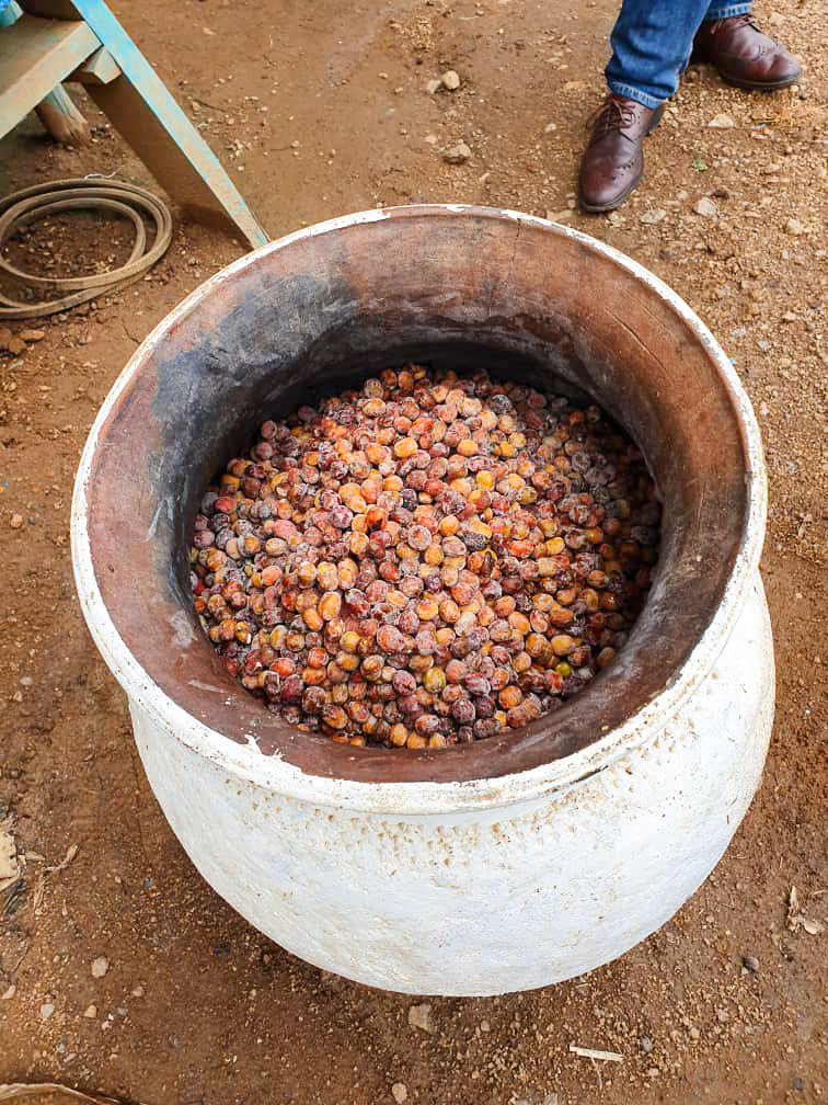The Complete Guide to Natural Process Coffees: Natural, Anaerobic, and Low‑Oxygen