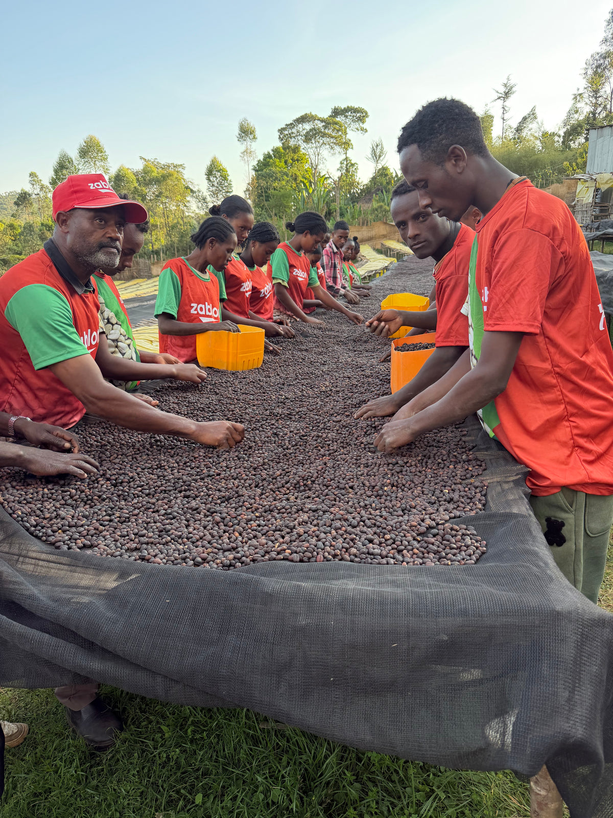 Ethiopia Bochessa Natural