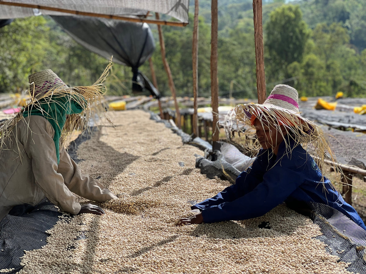 Ethiopia Hadeso